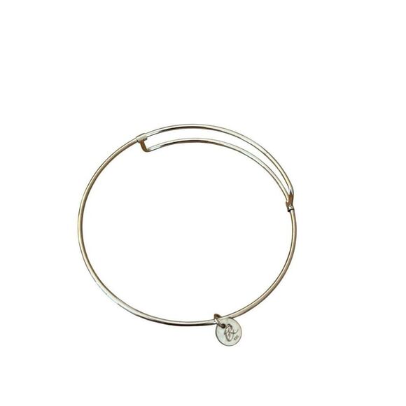 Rembrandt Rhodium Plated Sterling Silver Charm Bracelet in Box 7 in - Picture 6 of 6